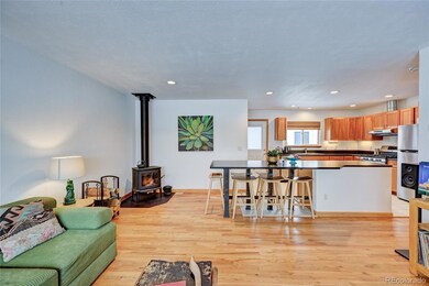 502 Park Ln, Buena Vista, CO 81211 - photo 5