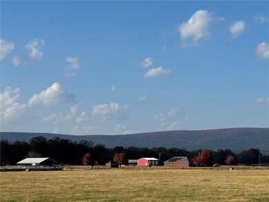 23788 Highway 28, Other Ar, AR 72827 - photo 4