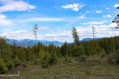 Est Lot 8 Camp Bay Estates, Sagle, ID 83860 - photo 7