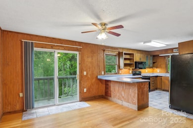 685 Freeman Creek Rd, Zirconia, NC 28790 - photo 6