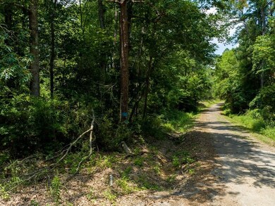 3486 Homer Alto Rd, Pollok, TX 75969 - photo 2