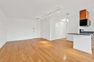 MeadowWood at Gateway unit 4F, Brooklyn, NY 11207 - photo 4