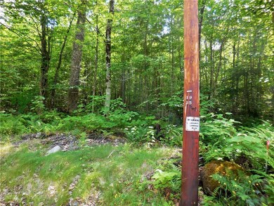 L 19 Bunker Ln, Hartland, ME 04943 - photo 4
