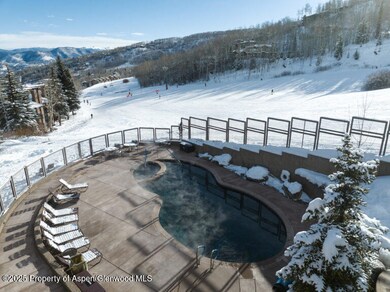 690 Carriage Way unit C2g, Snowmass Village, CO 81615 - photo 3