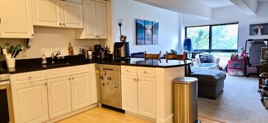 Parris Landing unit 3414, Boston, MA 02129 - photo 2