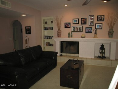 Living room fireplace