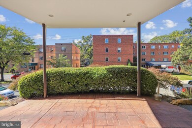 111 Lee Ave unit 102, Takoma Park, MD 20912 - photo 2