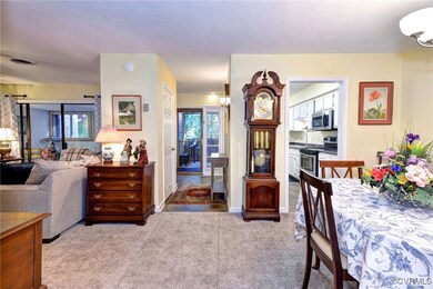 Carpeted dining room with a healthy amount of sunl