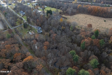 L4.011 Morris Rd, Round Lake, NY 12151 - photo 6