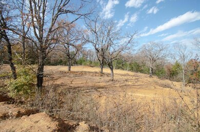 2.79 Ac Cross Timber Estates Dr, Denison, TX 75021 - photo 4