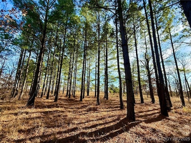 0 4540 Rd, Vian, OK 74962 - photo 2