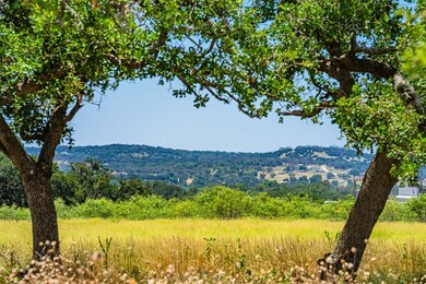 Lot 6 the Views Blvd unit 6, Fredericksburg, TX 78624 - photo 3