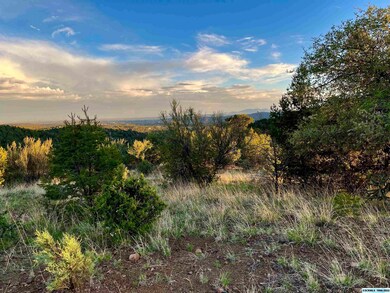 45 Rachel Rd, Silver City, NM 88061 - photo 2