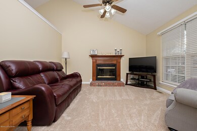 8017 Red Bud Hill Dr, Louisville, KY 40228 - photo 6