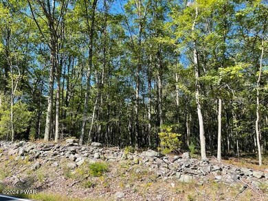 Lot 36 Mt Shadow Ln & Roosie Rd, Bushkill, PA 18324 - photo 5