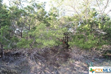 5033 Comanche Dr, Temple, TX 76502 - photo 3