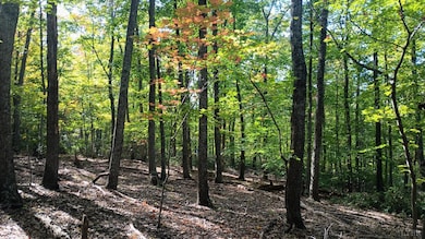 0 Oakcrest Ln unit 363097, Rockfish, VA 22958 - photo 7