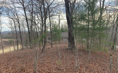 Additional View