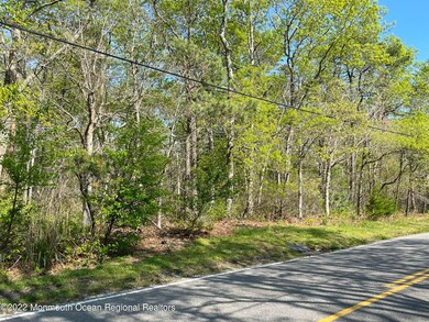 0 Stafford Forge Rd unit 22225300, West Creek, NJ 08092 - photo 4