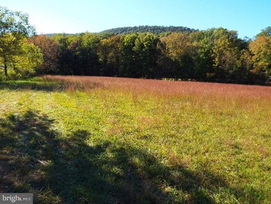 NS Fort Swatara Rd, Jonestown, PA 17038 - photo 2