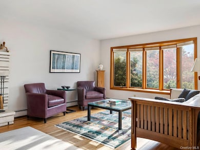 9 Mcallister Dr, Pleasant Valley, NY 12569 - photo 5