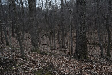 0 Hickory Falls Rd unit 920645, Blue Ridge, VA 24064 - photo 4