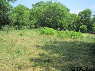 13391 Big Oak Bay Rd, Tyler, TX 75707 - photo 3