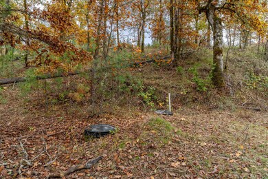 1700 Abegg Rd, Merlin, OR 97532 - photo 6