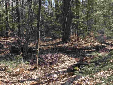 36 Effingham Rd, Ossipee, NH 03864 - photo 6