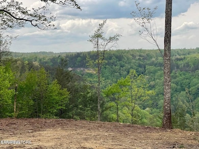 Bluff Views