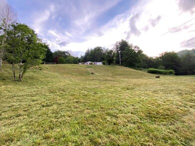 Lower Field