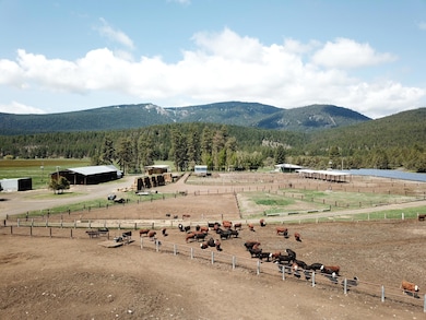 1827 W Ball Mountain Little Shasta Rd, MacDoel, CA 96058 - photo 7