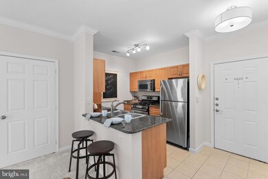 12953 Centre Park Cir unit 318, Herndon, VA 20171 - photo 4