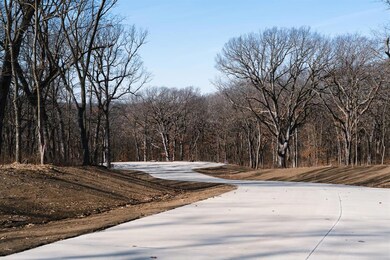 0 151st Ln unit 712272, Indianola, IA 50230 - photo 3