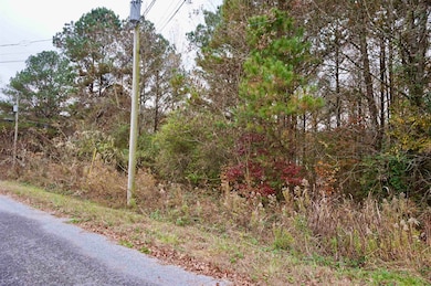 00 County Road 738, Cullman, AL 35055 - photo 6