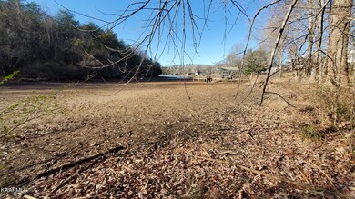 Tellico Low Pool