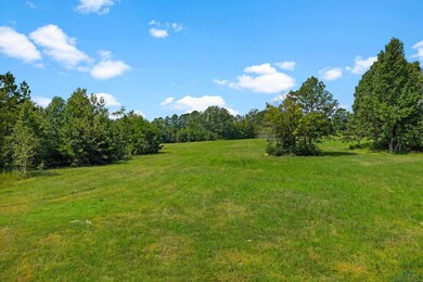 TBD Farm To Market 1798 E, Mount Enterprise, TX 75681 - photo 7