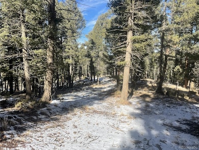 1873 N Mountain Estates Rd unit 55054116, Florissant, CO 80816 - photo 5