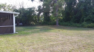 Back yard