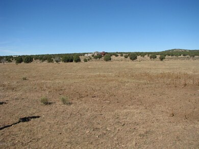 80 Cattle Dr, Ash Fork, AZ 86320 - photo 3