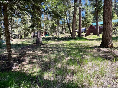 0 Forest Dell Ave unit 622201546, Wallowalake, OR 97846 - photo 6