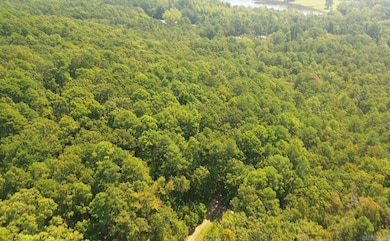 169 Brook Ln, Bee Branch, AR 72058 - photo 7