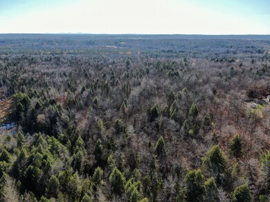 DJI_0608