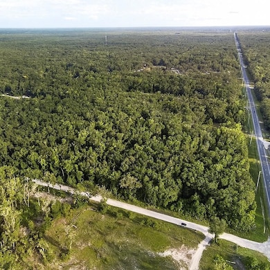 TBD NE 349 Hwy, Old Town, FL 32680 - photo 3