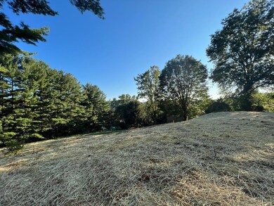 longview6