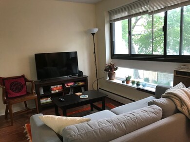 77 Trowbridge St unit 21, Cambridge, MA 02138 - photo 4