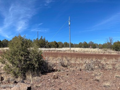 2277 W Albert Way, Ash Fork, AZ 86320 - photo 7