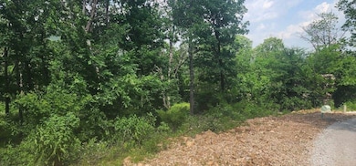 Lot 7 Restore Ridge, Harrison, AR 72601 - photo 3