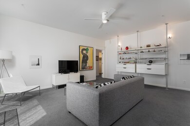 AZA_IMAGES_Vale1014_-4