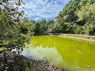 27200 Falcon Way, Wooldridge, MO 65287 - photo 3